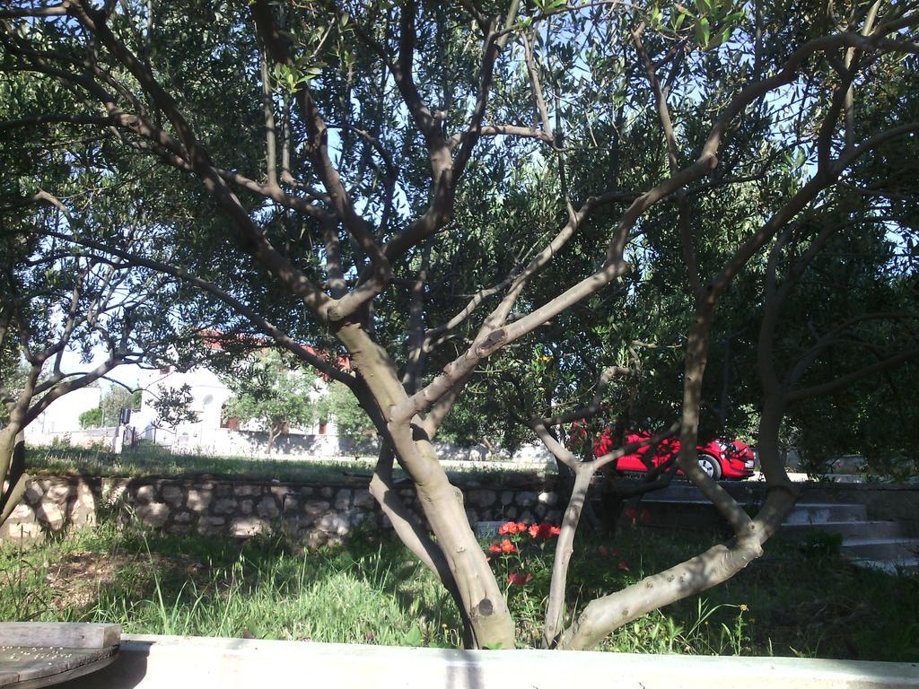 Apartament Chiara *